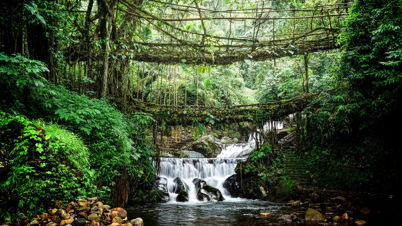 Meghalaya