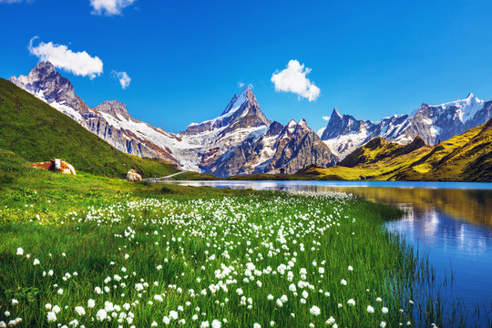 Switzerland