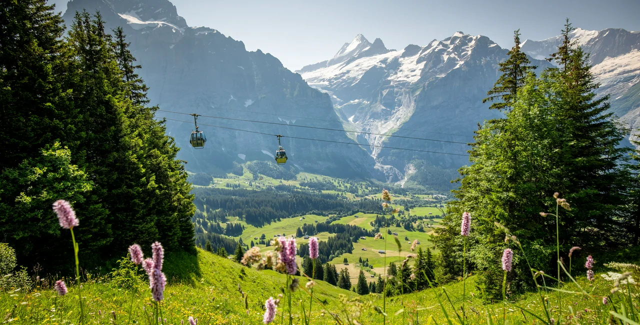 Switzerland Alpine Wonder