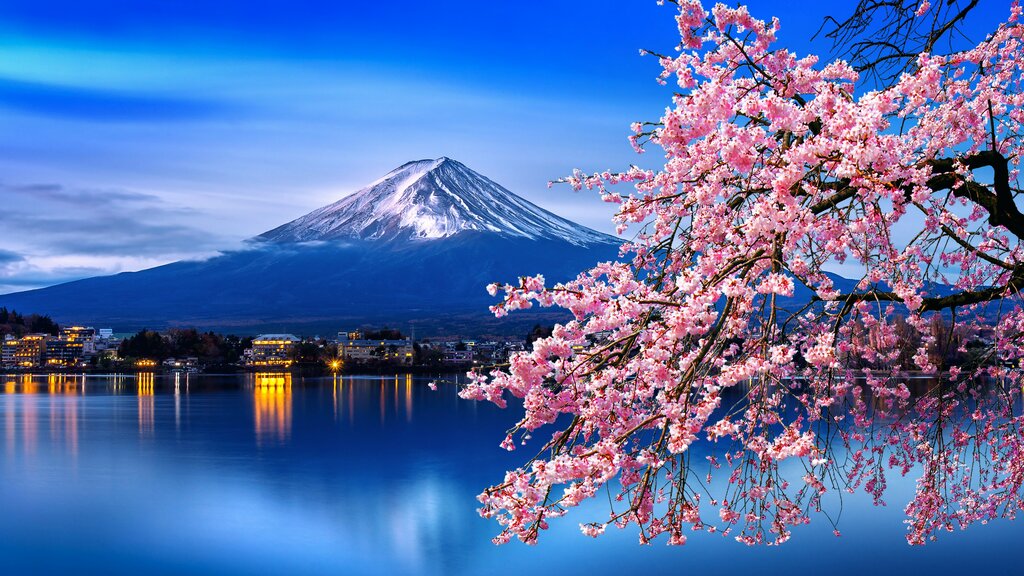 Japan Cherry Blossom Tour