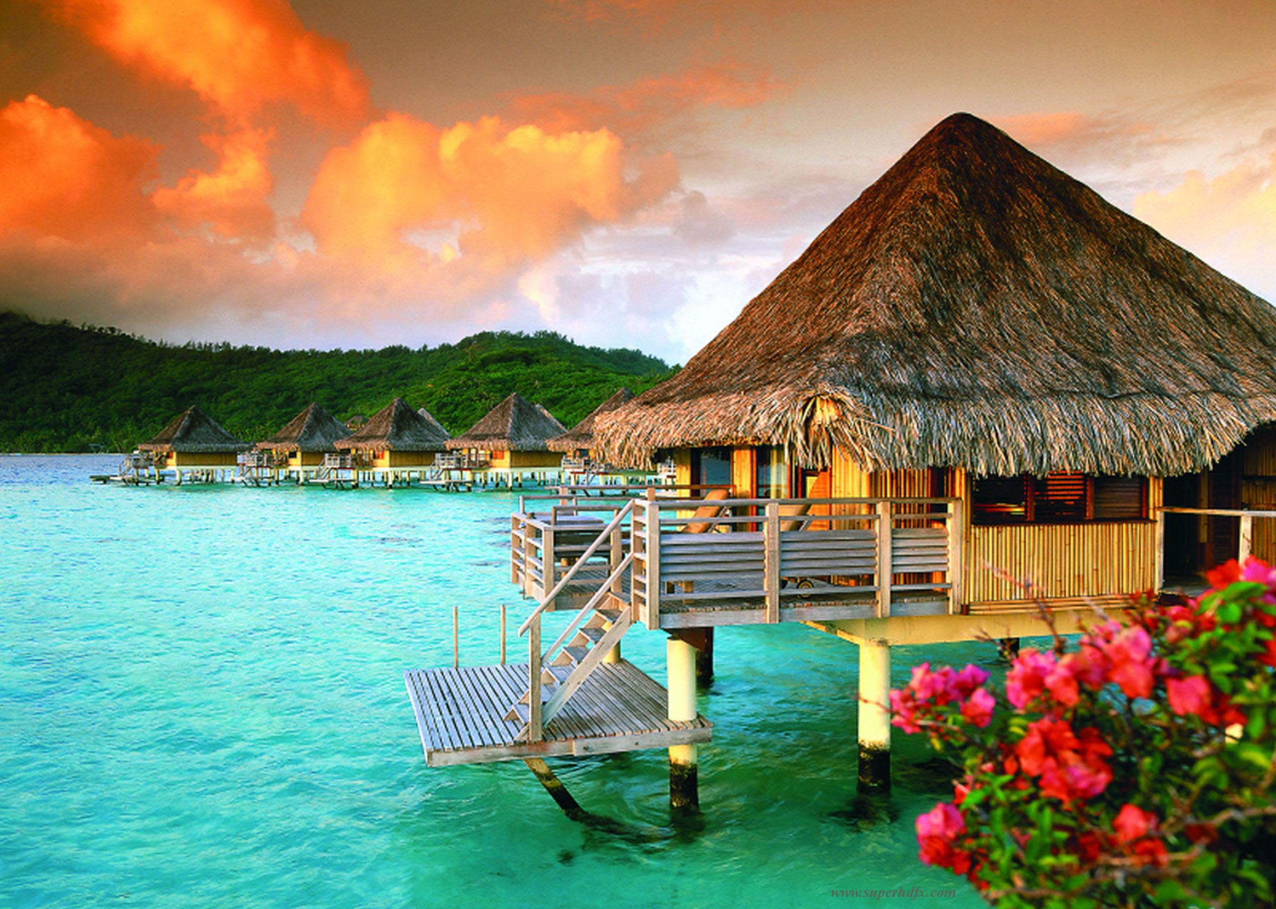 Andaman Honeymoon Special