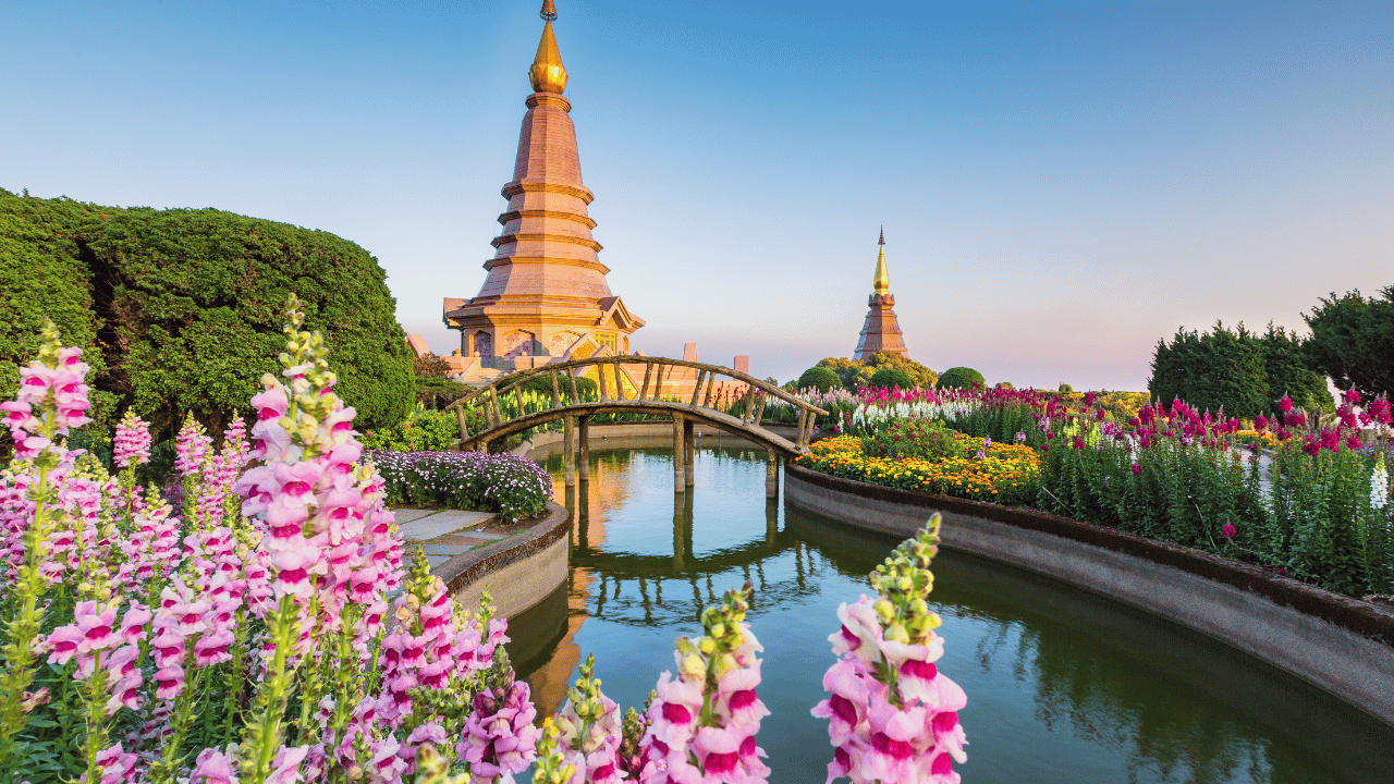 Bangkok Pattaya Tour