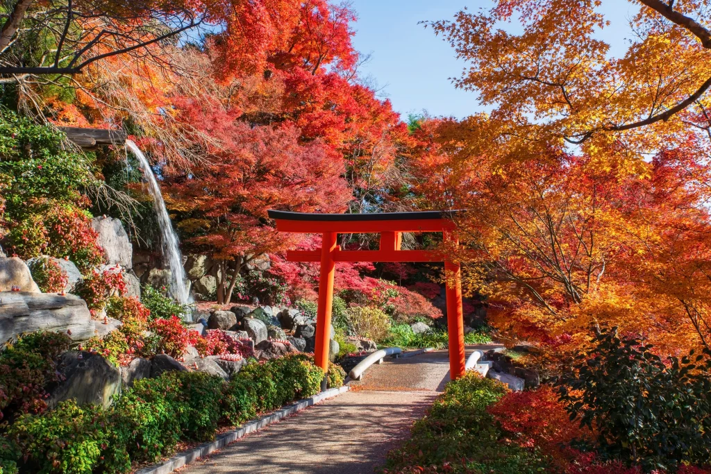 Japan Autumn Leaves Tour